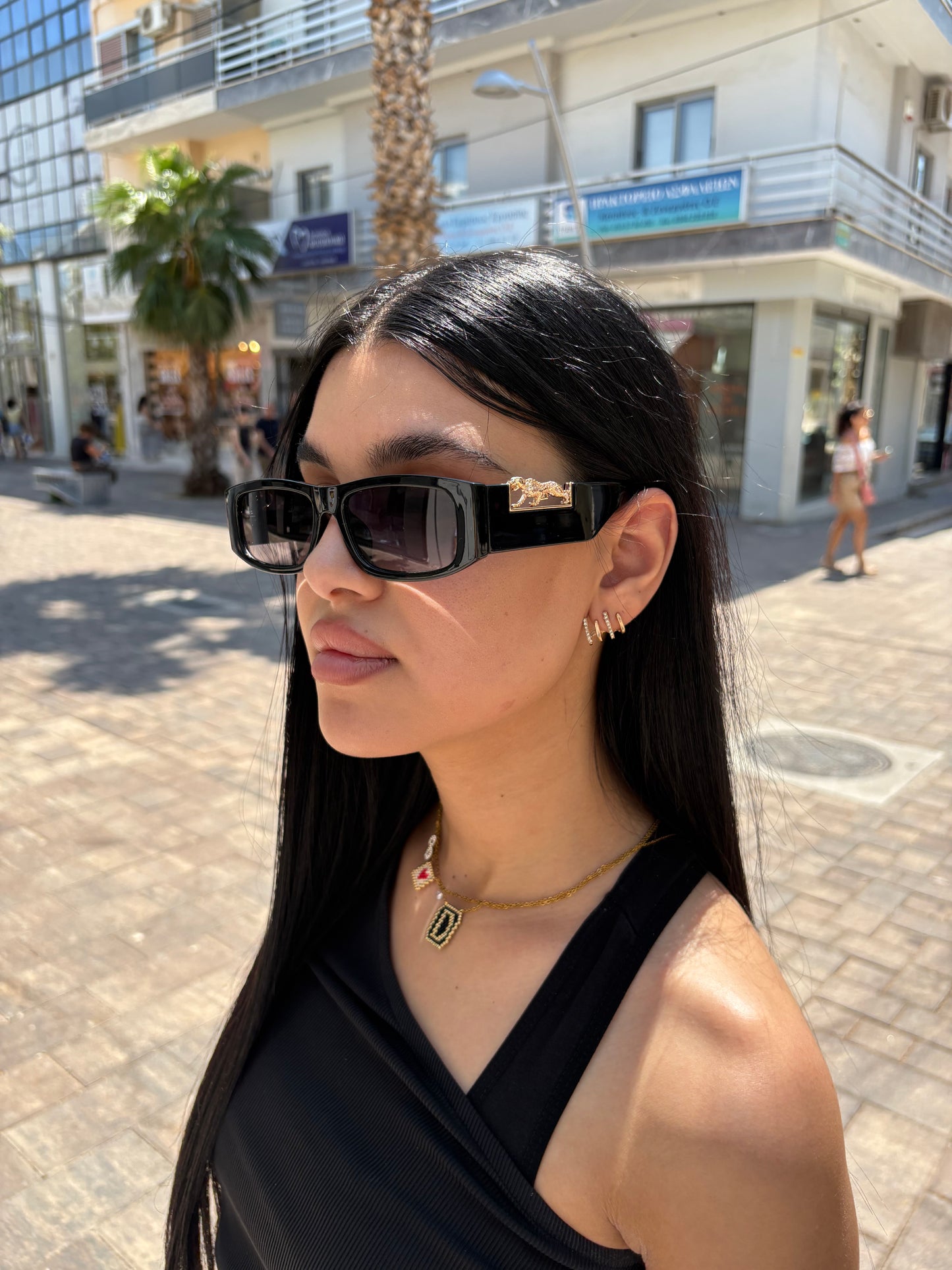 CARTIER SUNGLASSE - DF1045