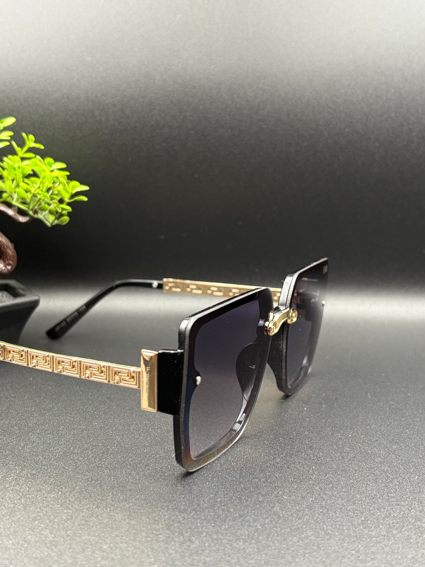 FENDI SUNGLASSE - DF1048