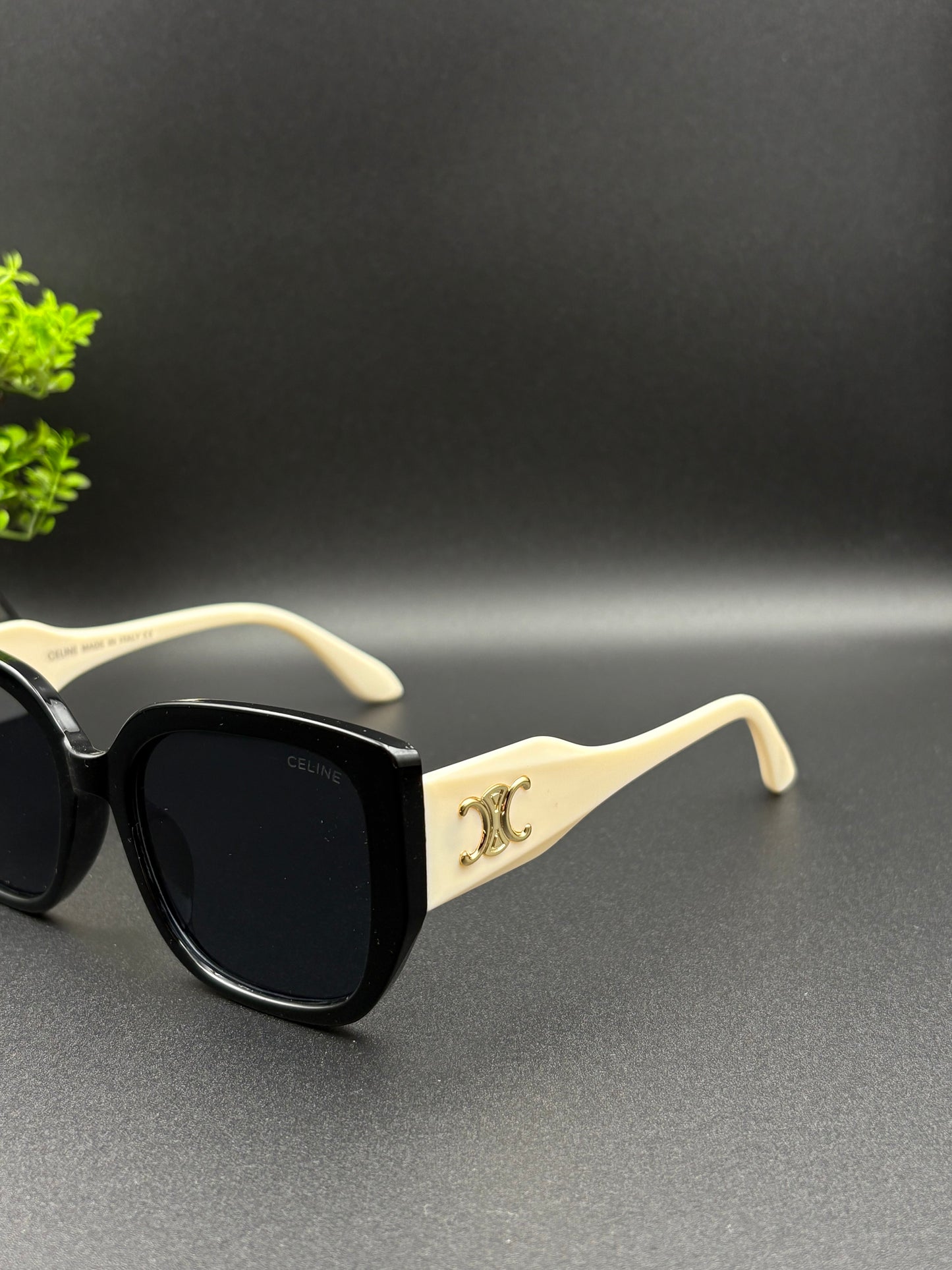CELINE SUNGLASSE - DF1005