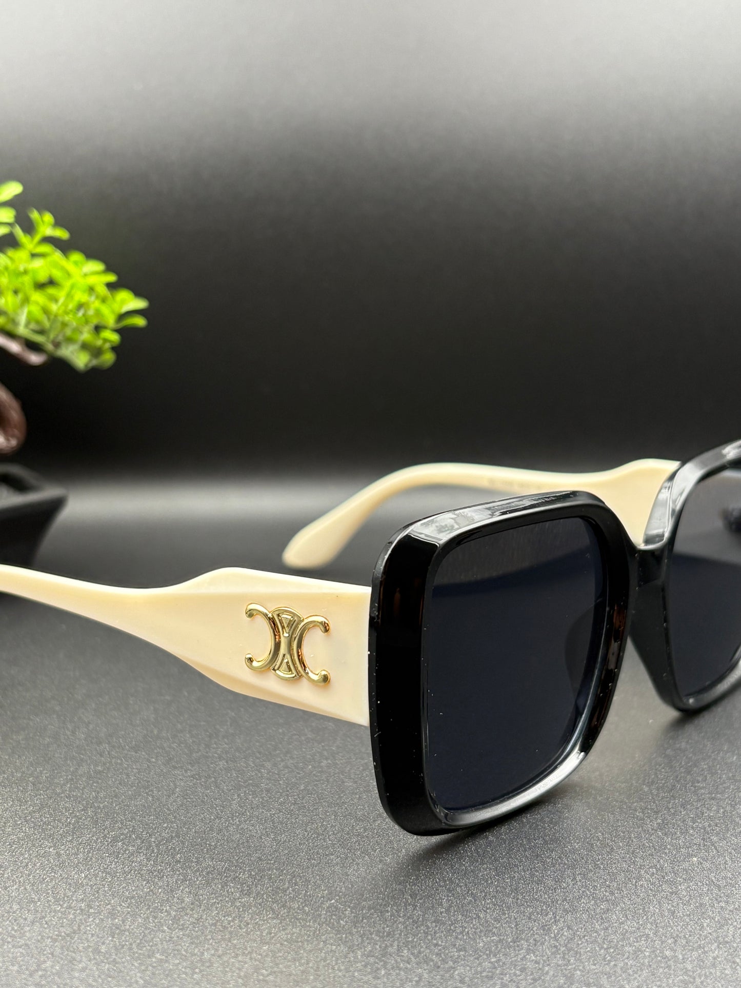 CELINE SUNGLASSE - DF1052