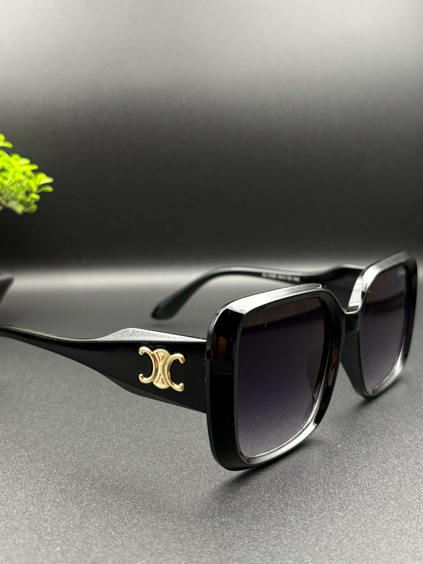 CELINE SUNGLASSE - DF1053