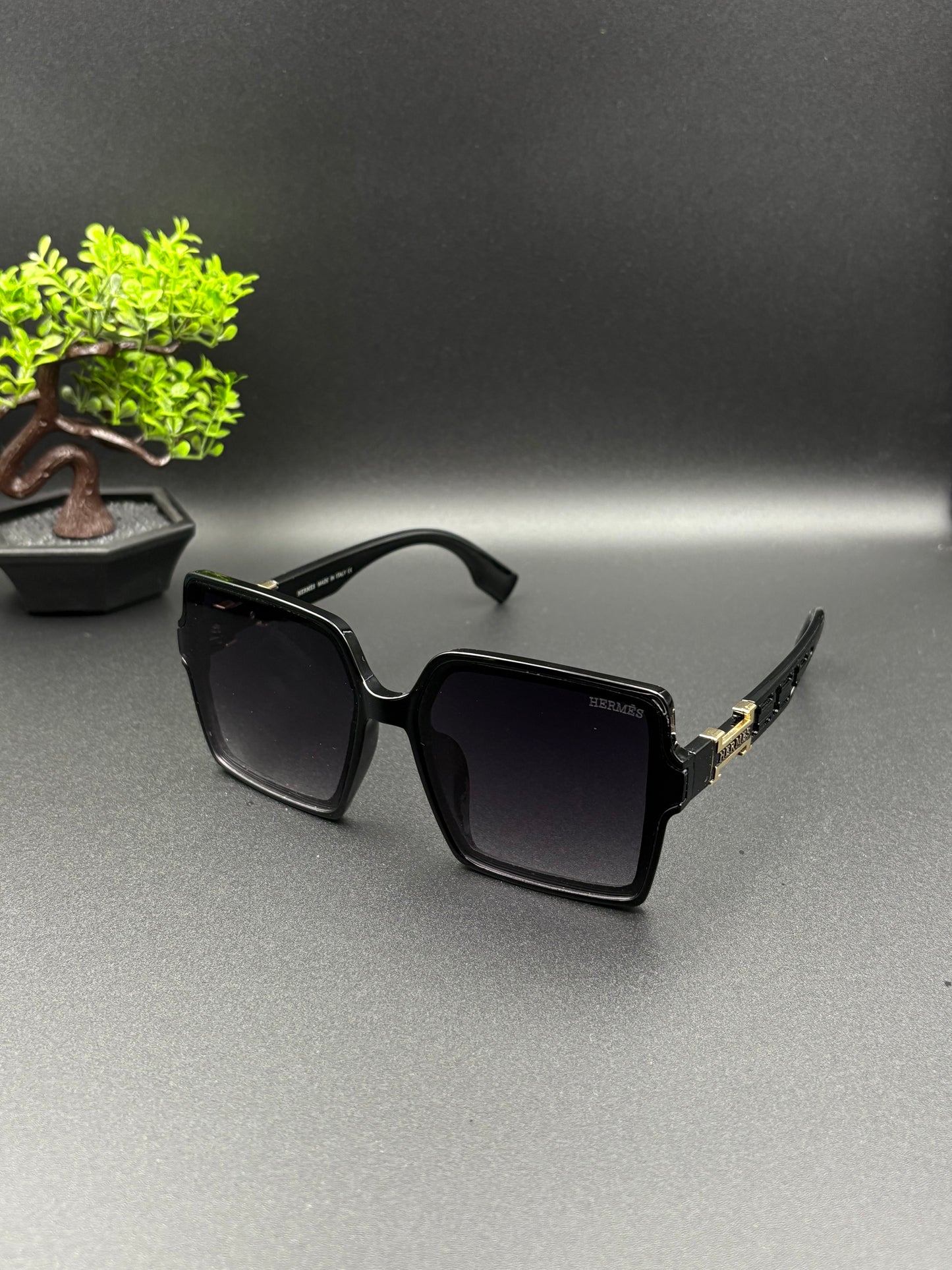 HERMES SUNGLASSE - DF1006