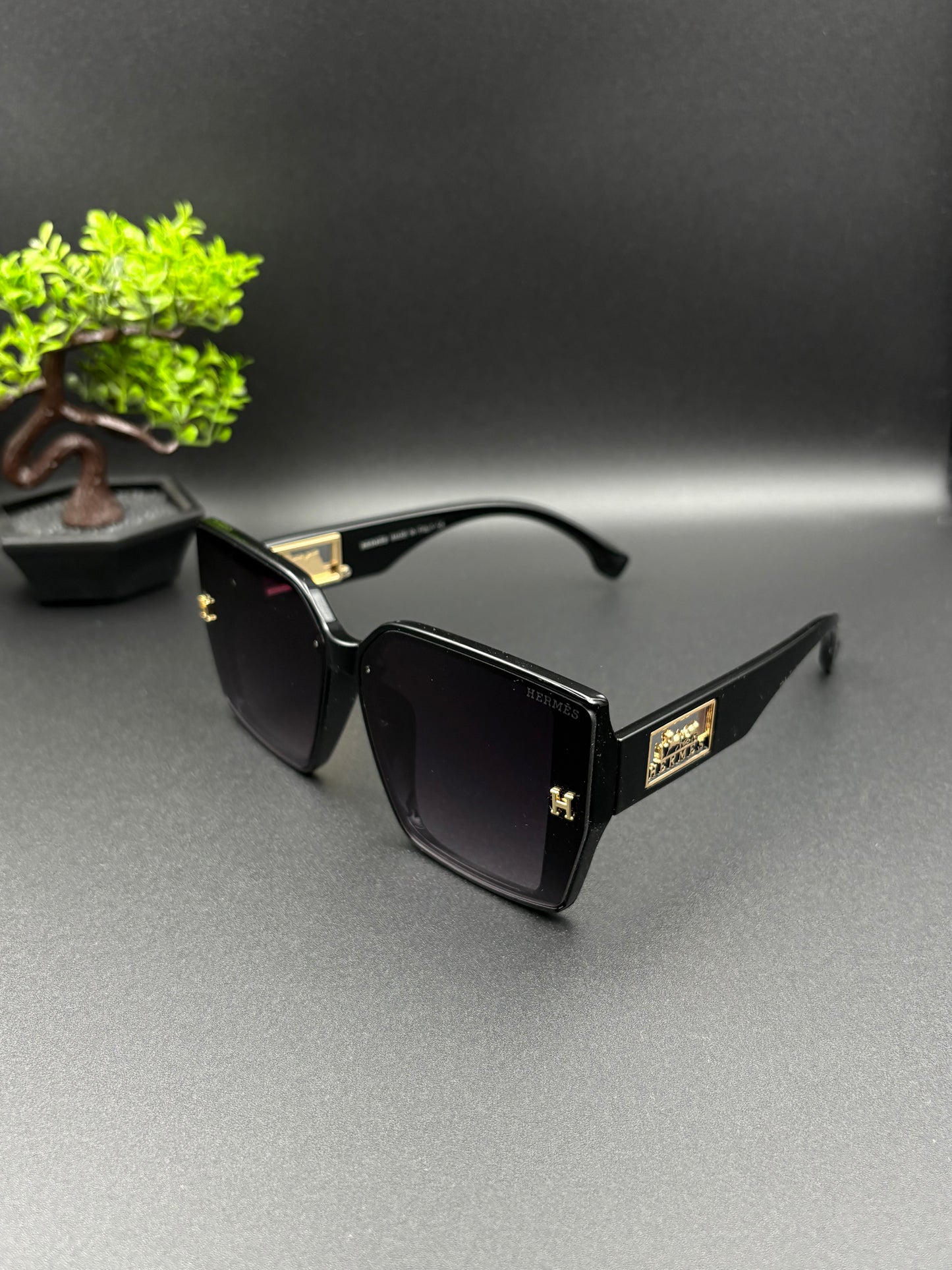 HERMES SUNGLASSE - DF1007