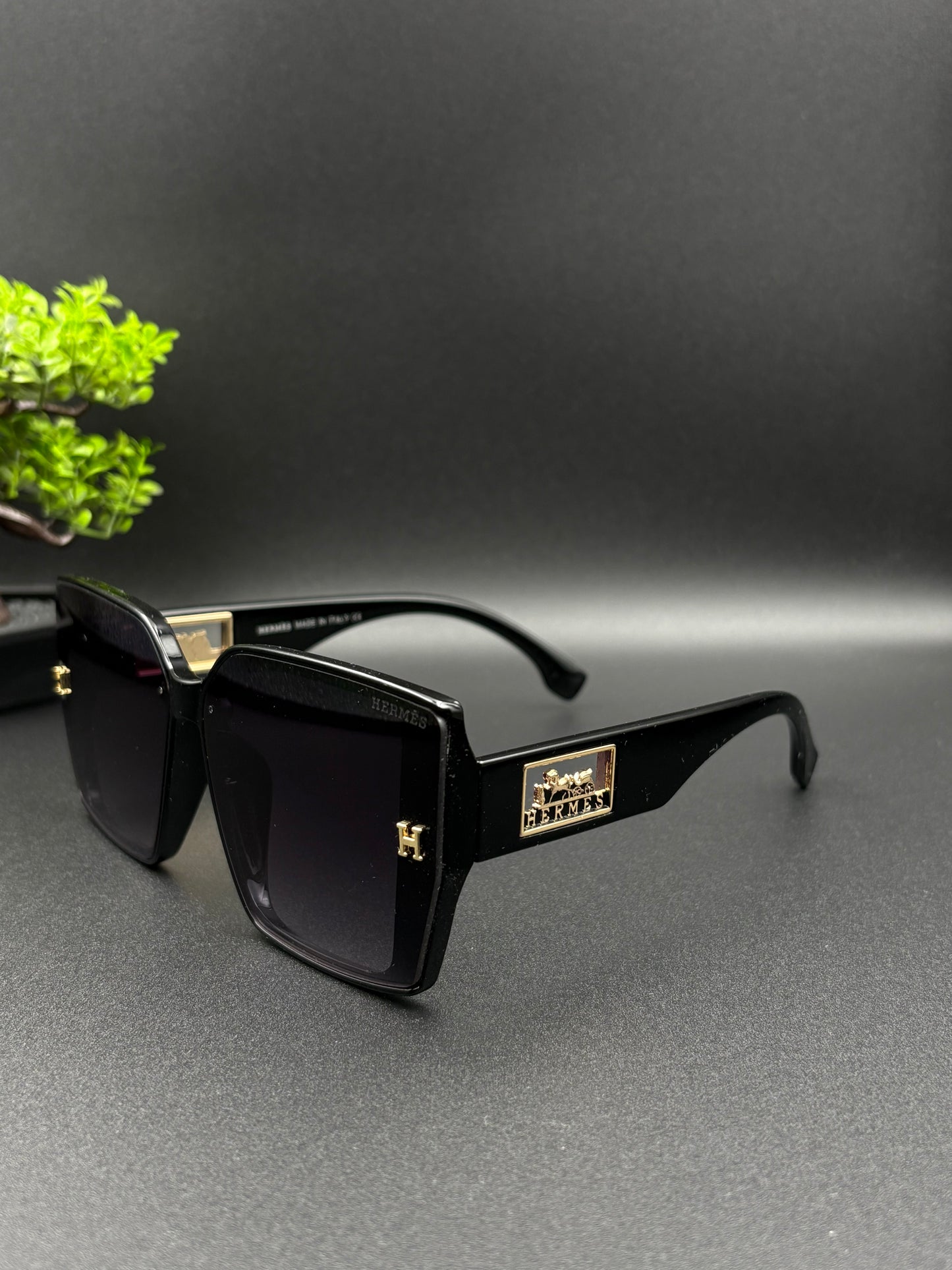 HERMES SUNGLASSE - DF1007