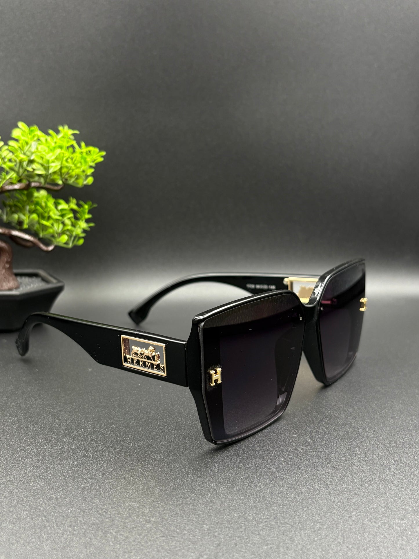 HERMES SUNGLASSE - DF1007
