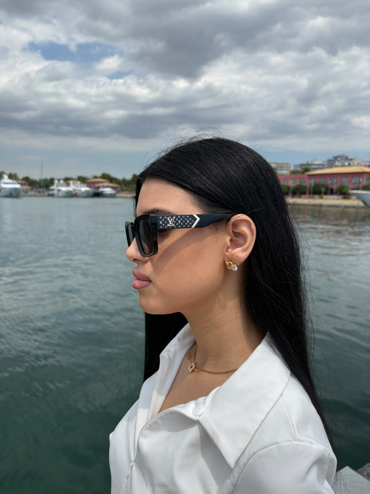 LOUIS VUITTON SUNGLASSE - DF1014